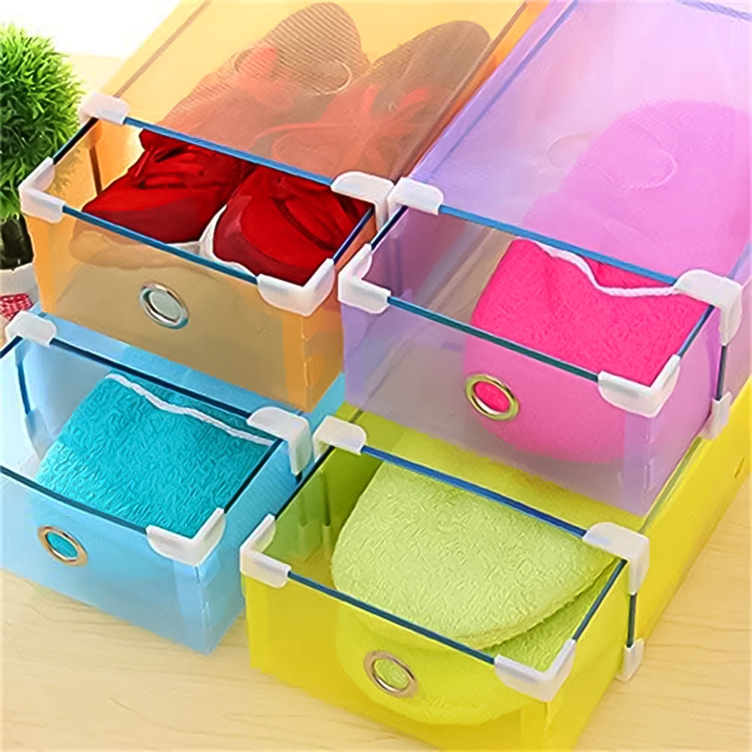 GlassBox Shoe Case GlassBox Shoe Case